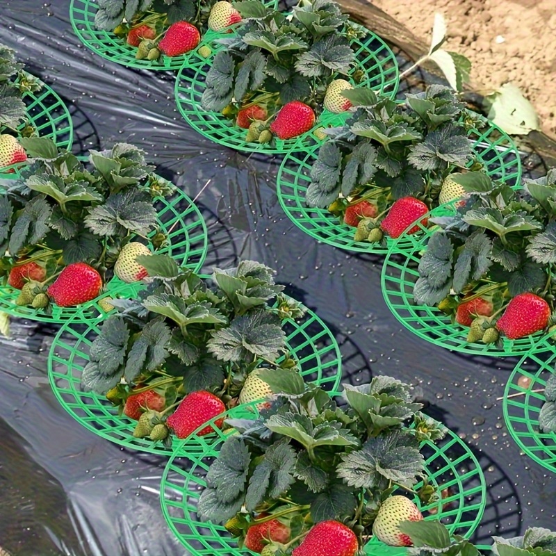 Indoor Herb Garden - Набор из 20 прочных опор для