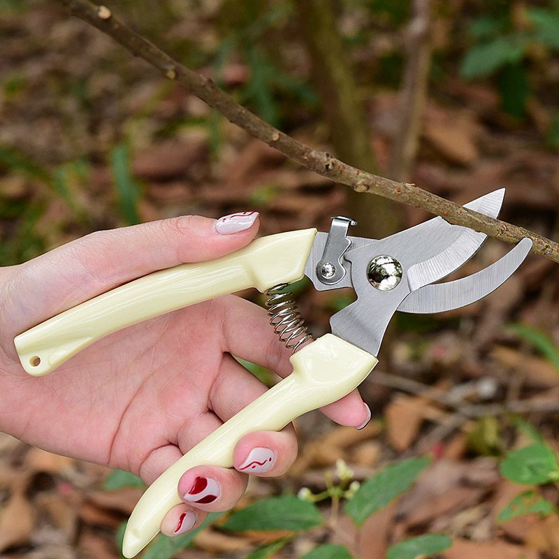 Pruning Shears - Эргономичные садовые секаторы, профессиональный ручной инструмент