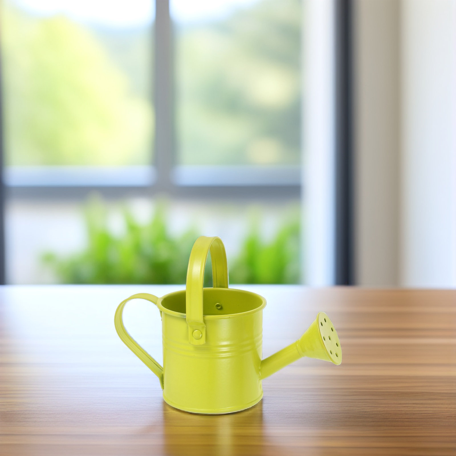 Watering Can - Маленькая оцинкованная лейка для полива, миниатюрный