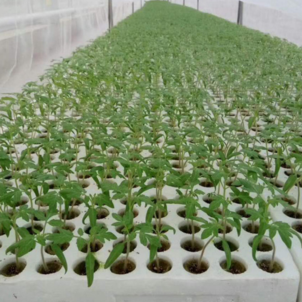 40 шт. шерстяных кубиков для б – обзор и цена Hydroponic Kit