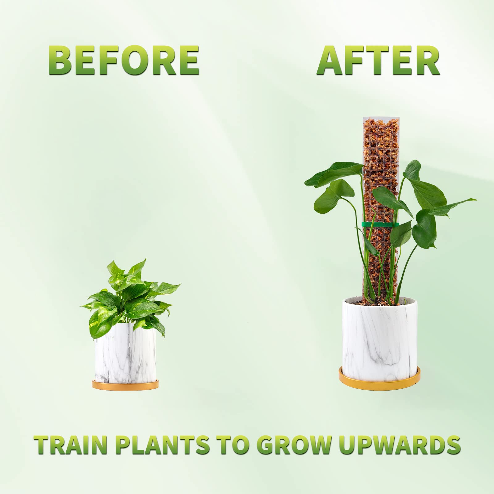 Моховые столбы, опора для раст – обзор и цена Indoor Herb Garden