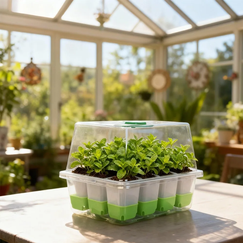 Лоток для выращивания рассады  – обзор и цена Seed Starter Tray