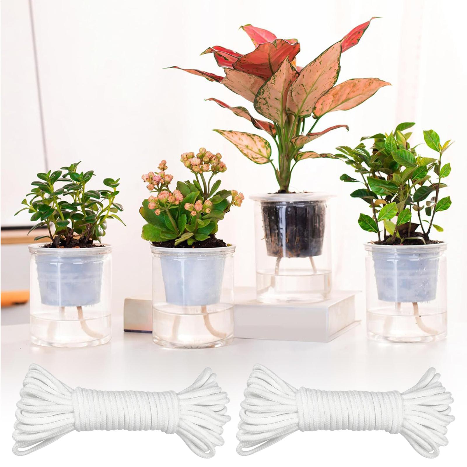Система капиллярного полива дл – обзор и цена Self Watering Planter
