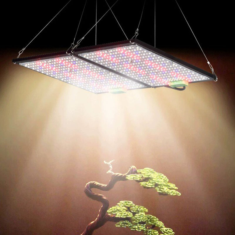 Светодиодный квантовый светиль – обзор и цена Grow Light Led