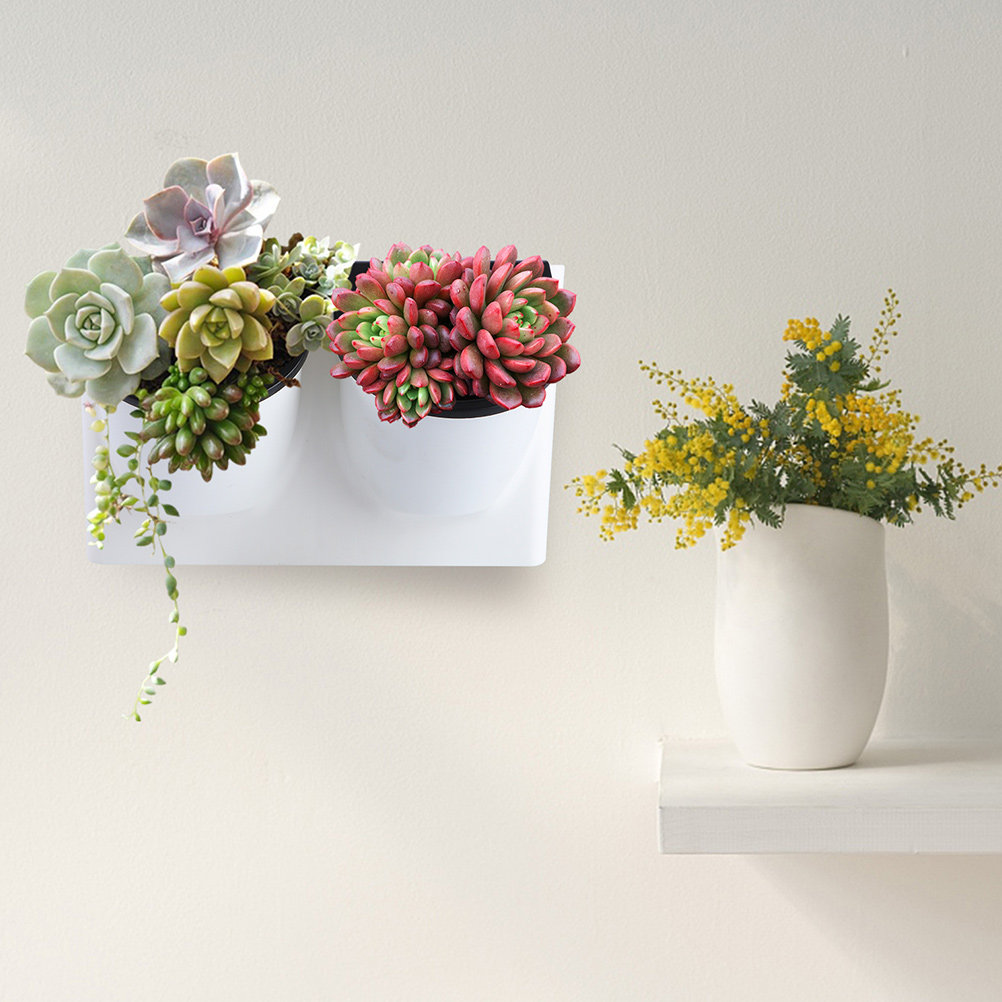 Самополивной горшок для цветов – обзор и цена Self Watering Planter