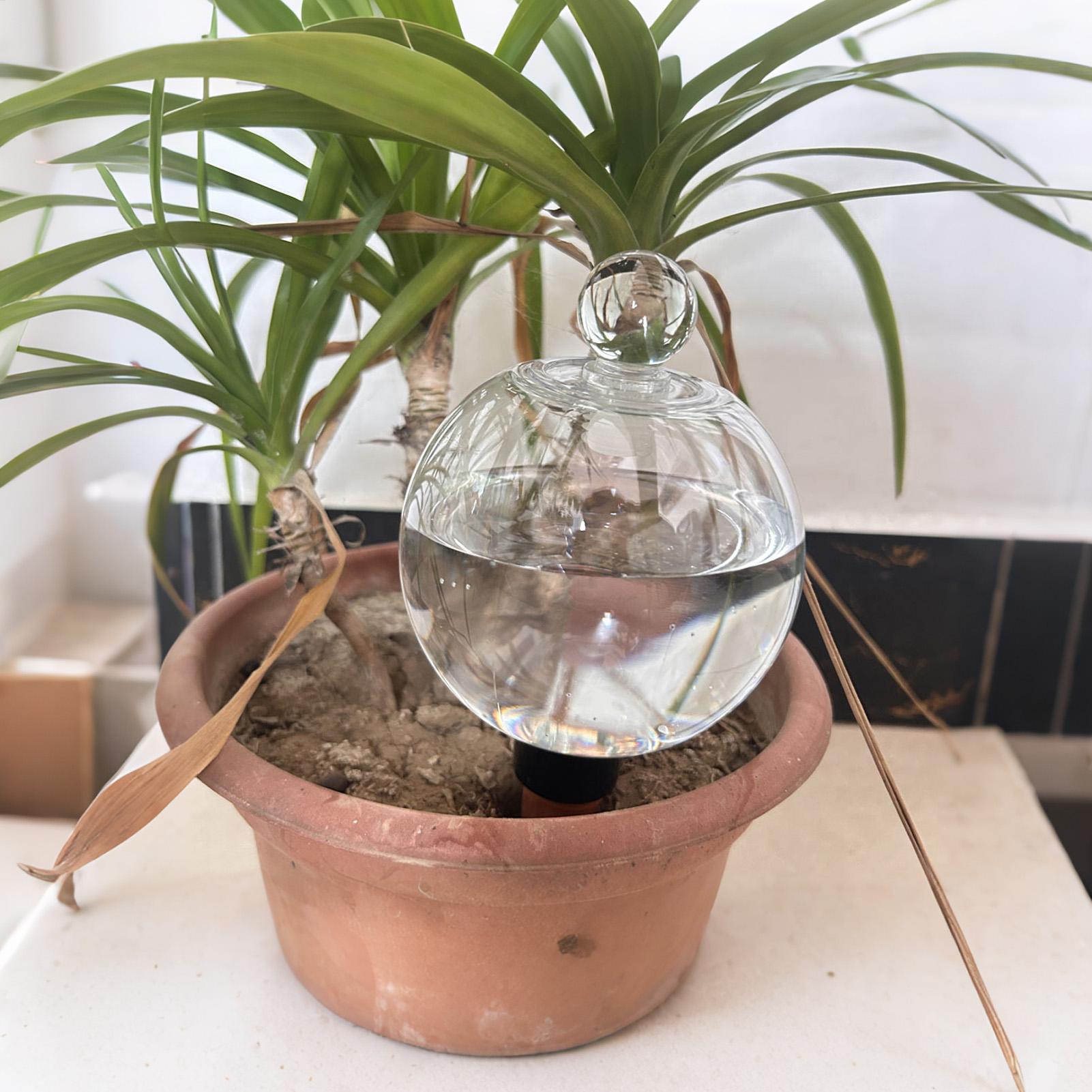 Автоматические капельные систе – обзор и цена Self Watering Planter
