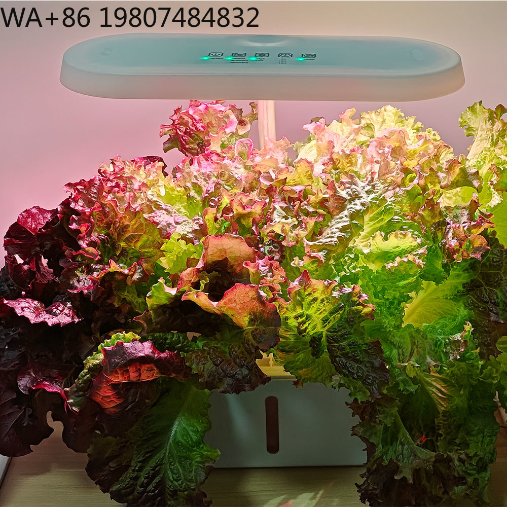 Комплект для гидропонного выра – обзор и цена Hydroponic Kit