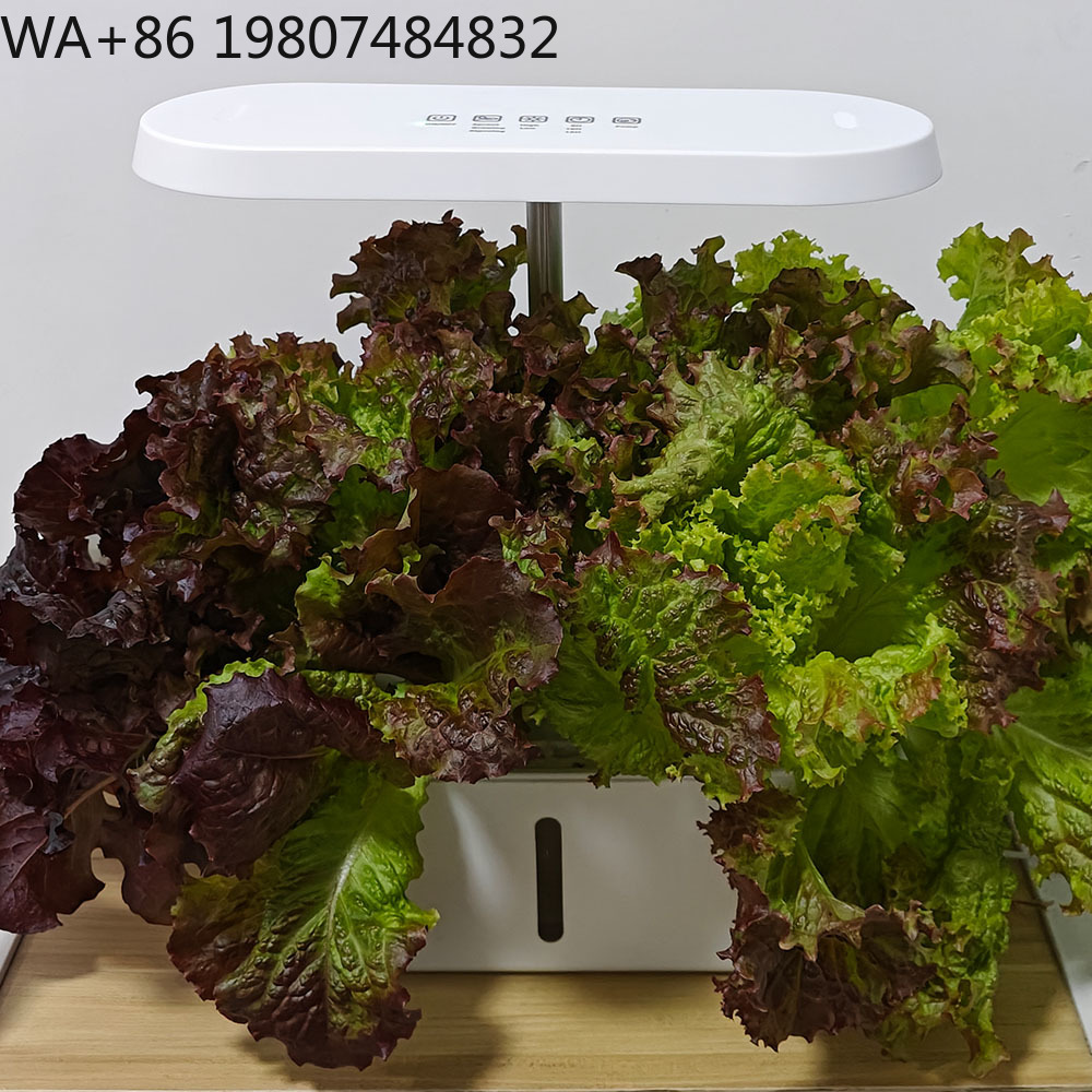 Комплект для гидропонного выра – обзор и цена Hydroponic Kit