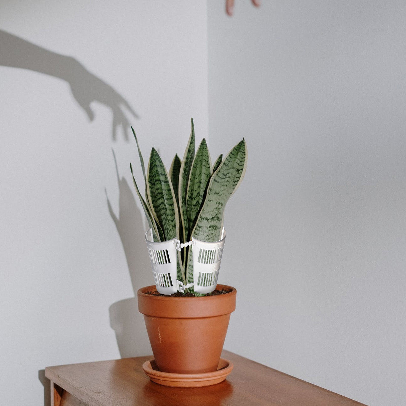 10 шт. прозрачных горшков для  – обзор и цена Plant Pot