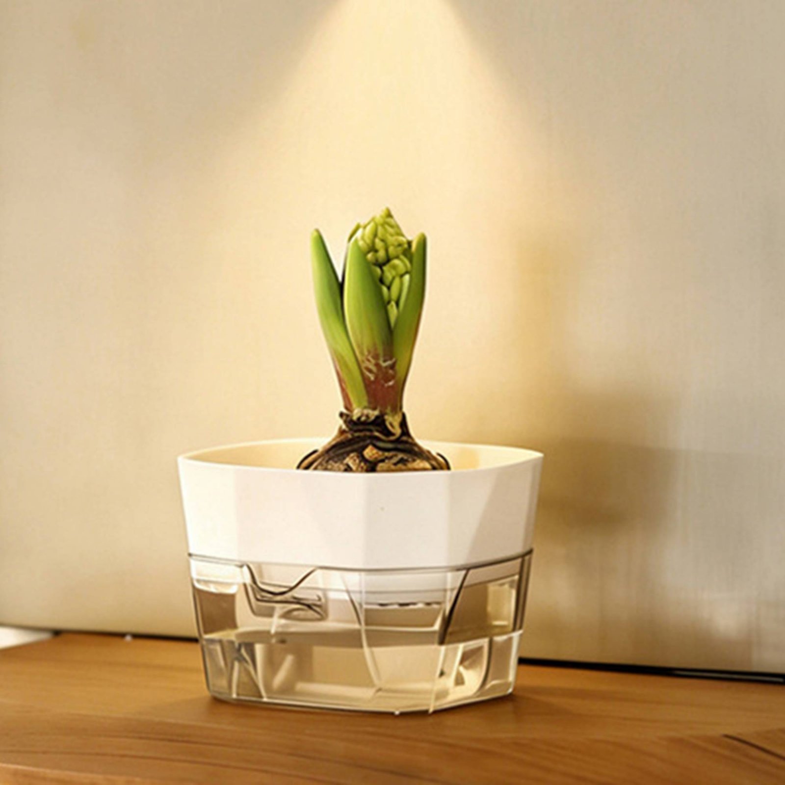 Гидропонная ваза-груминговател – обзор и цена Plant Pot