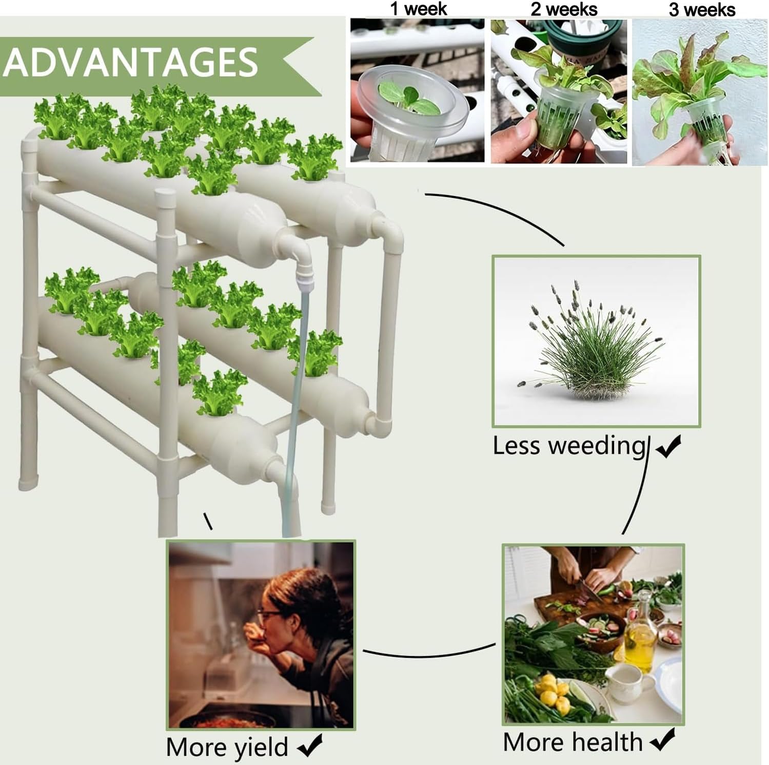 Гидропонная система выращивани – обзор и цена Hydroponic Kit