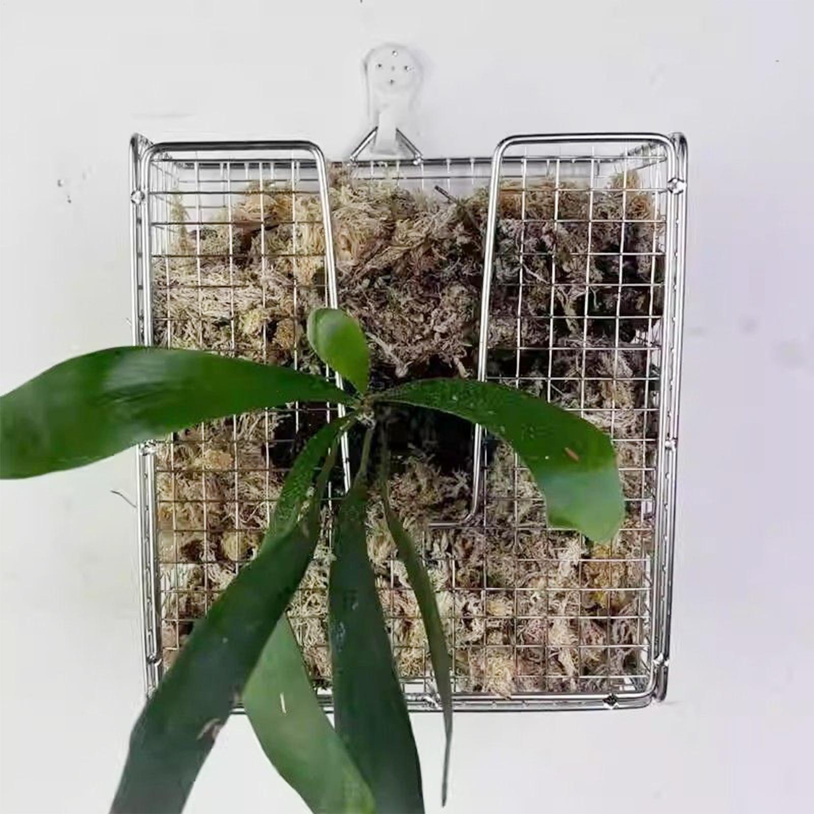 Монтажный комплект для папорот – обзор и цена Vertical Planter