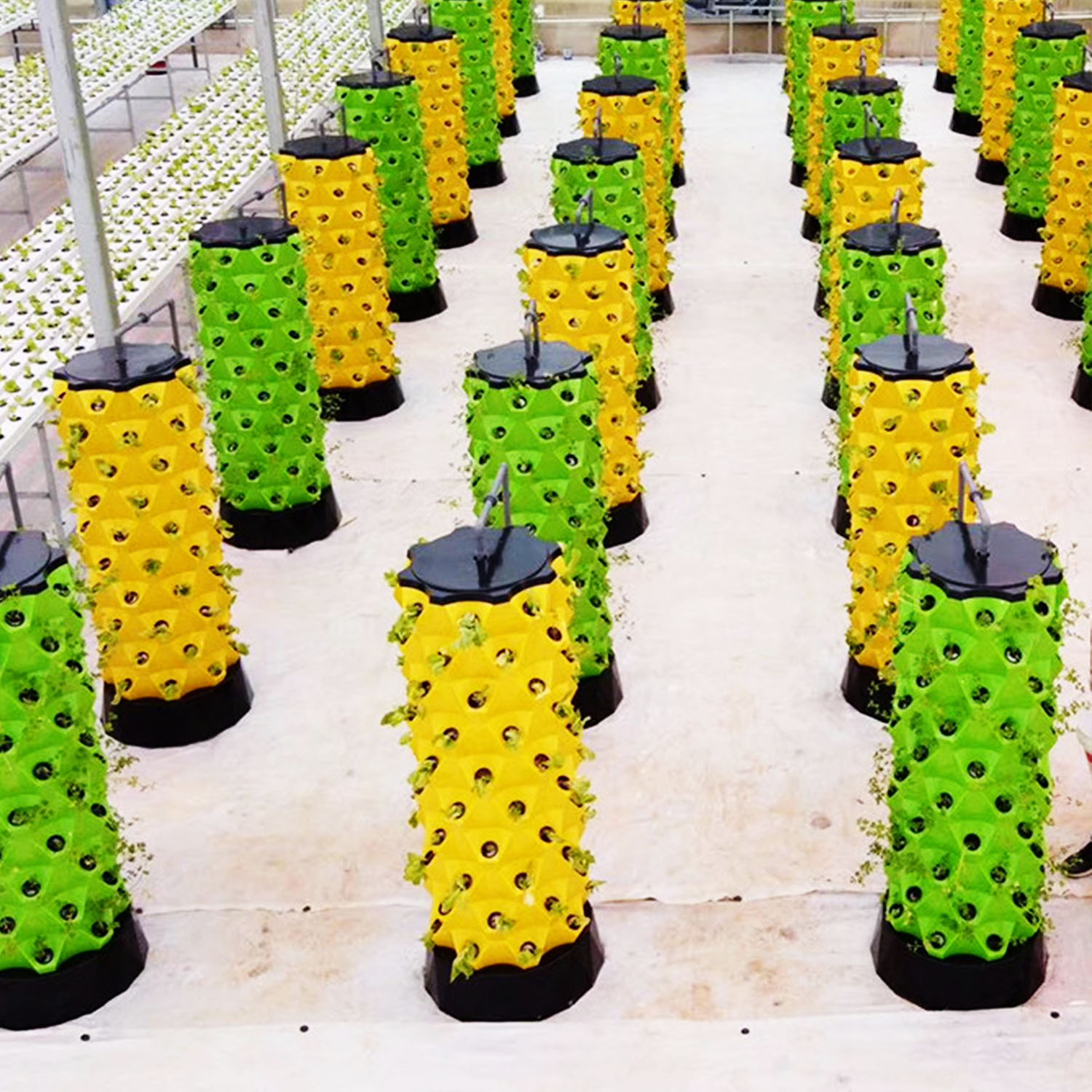 НОВИНКА: Вертикальный гидропон – обзор и цена Hydroponic Kit