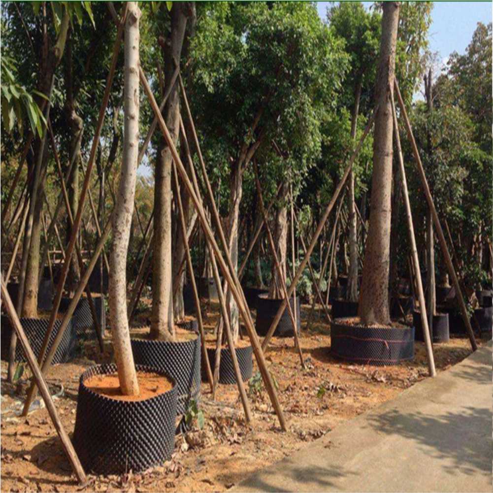 Контейнер для выращивания раст – обзор и цена Plant Pot