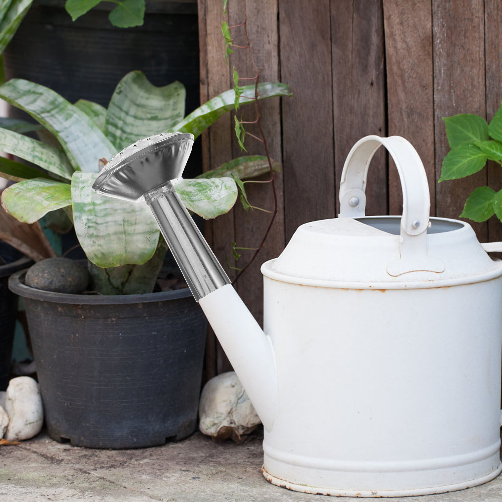 Насадка-распылитель для лейки  – обзор и цена Watering Can