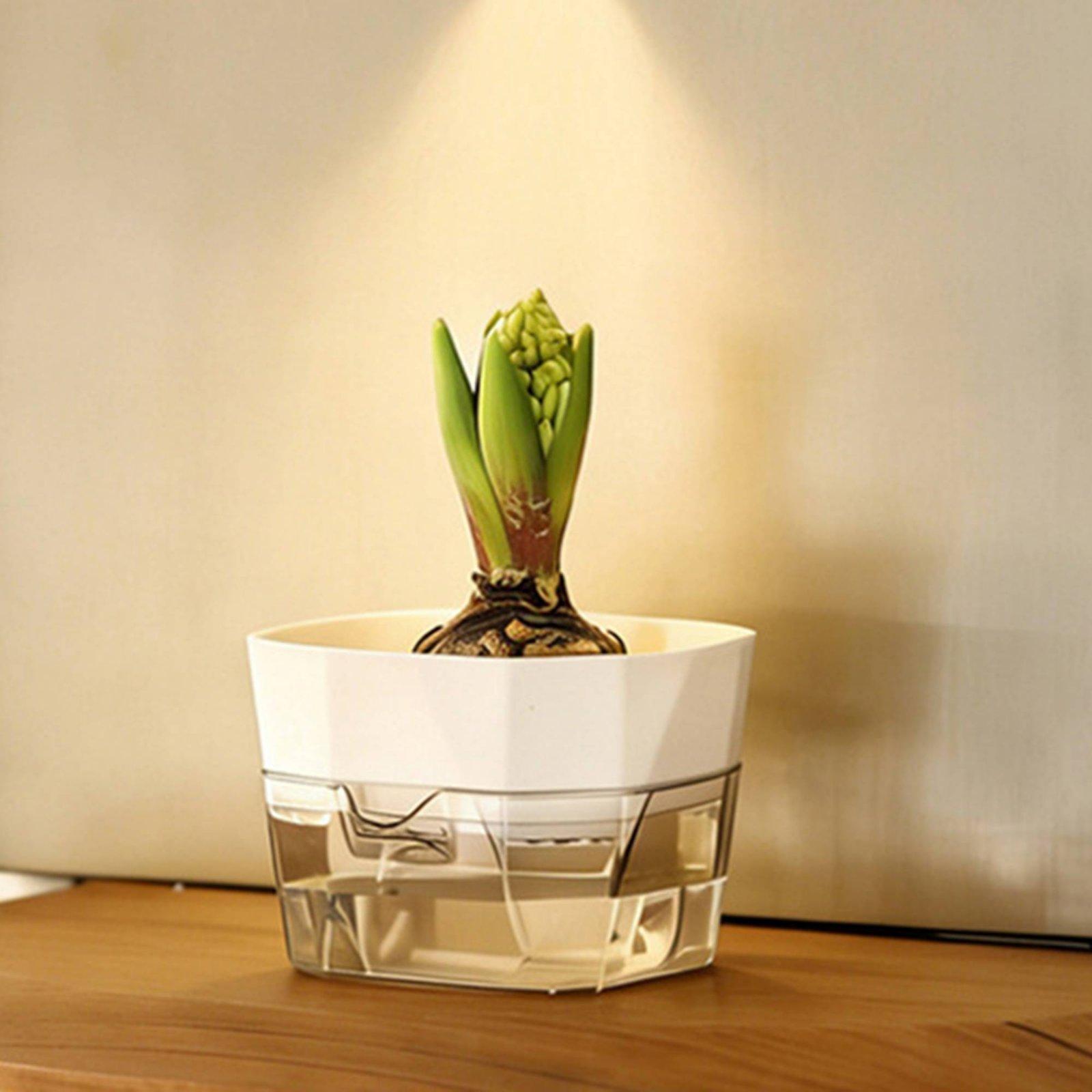 Гидропонная ваза с двумя слоям – обзор и цена Self Watering Planter