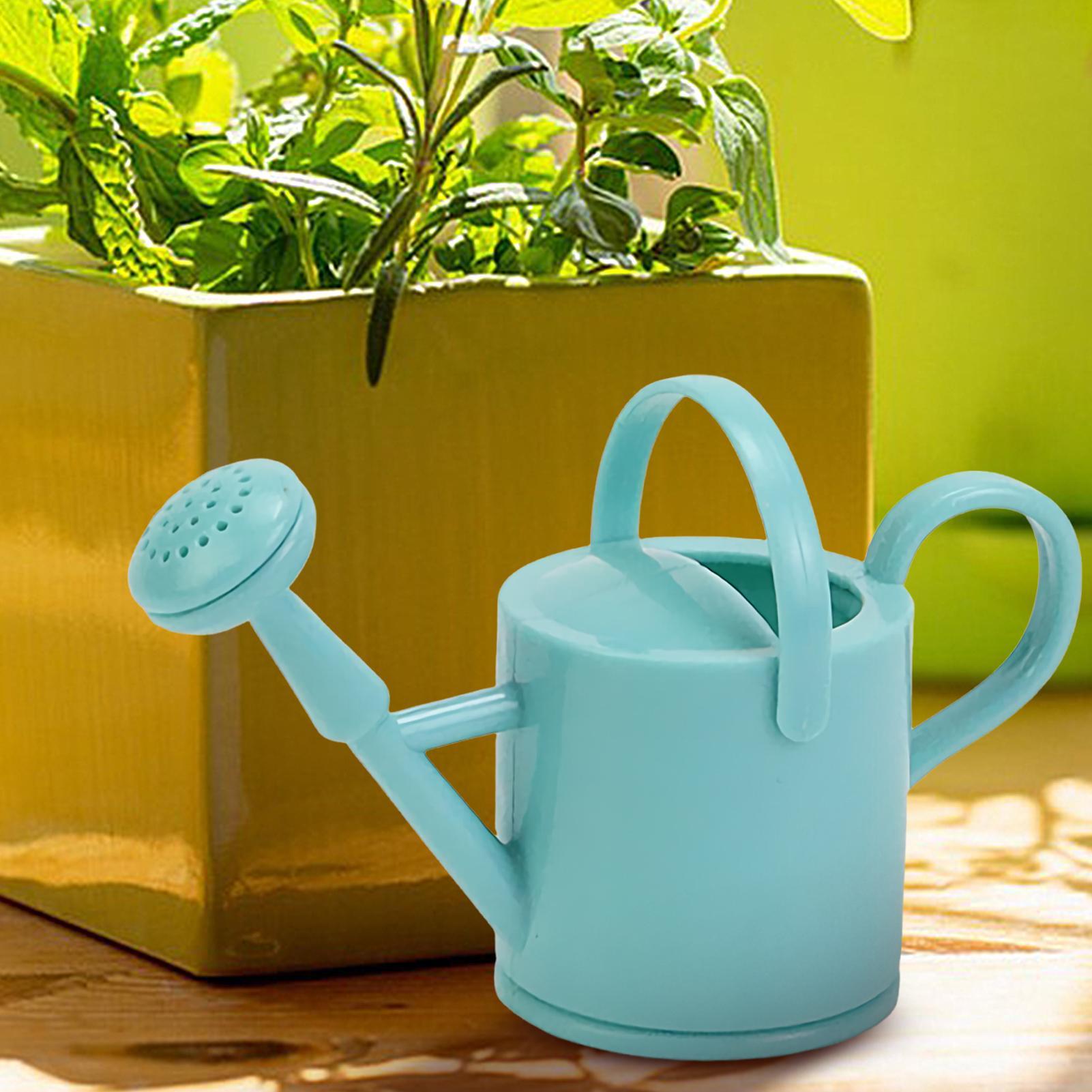 Миниатюрная милая детская лейк – обзор и цена Watering Can
