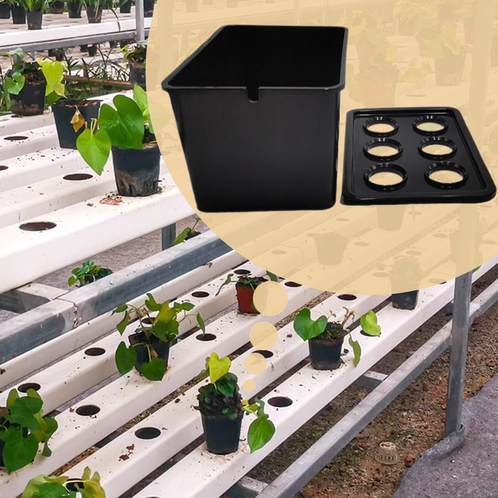 Гидропонный комплект для посад – обзор и цена Hydroponic Kit