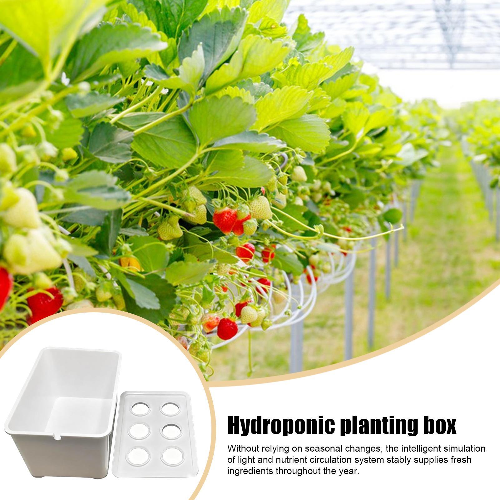 Гидропонный комплект для посад – обзор и цена Hydroponic Kit