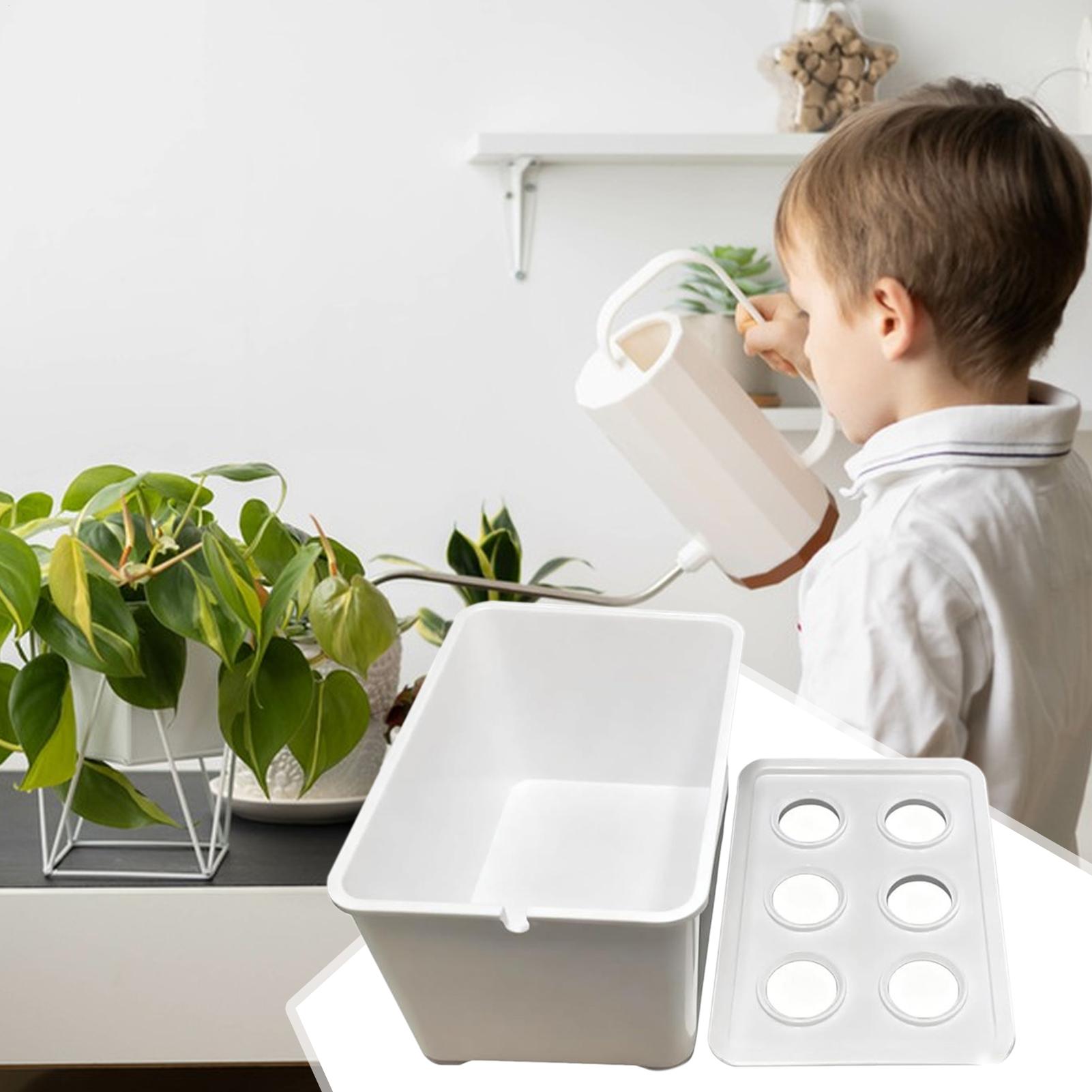 Гидропонный комплект для посад – обзор и цена Hydroponic Kit