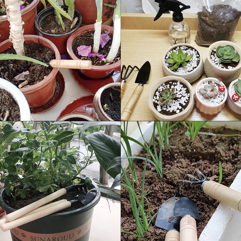 3 шт./1 компл. мини-набор садо – обзор и цена Indoor Herb Garden