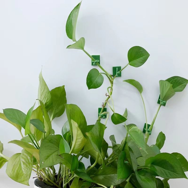 Самоклеящиеся крепления для ра – обзор и цена Indoor Herb Garden