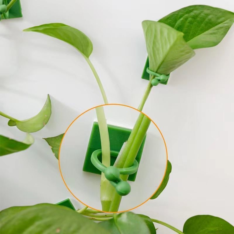 Самоклеящиеся крепления для ра – обзор и цена Indoor Herb Garden