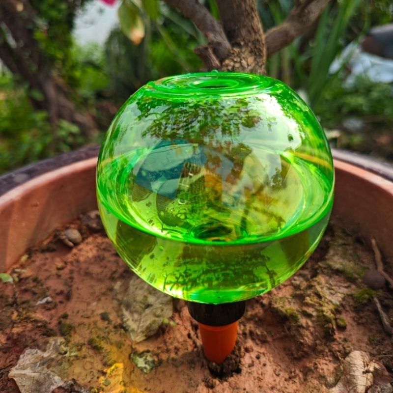 Набор из 3 больших пластиковых – обзор и цена Self Watering Planter