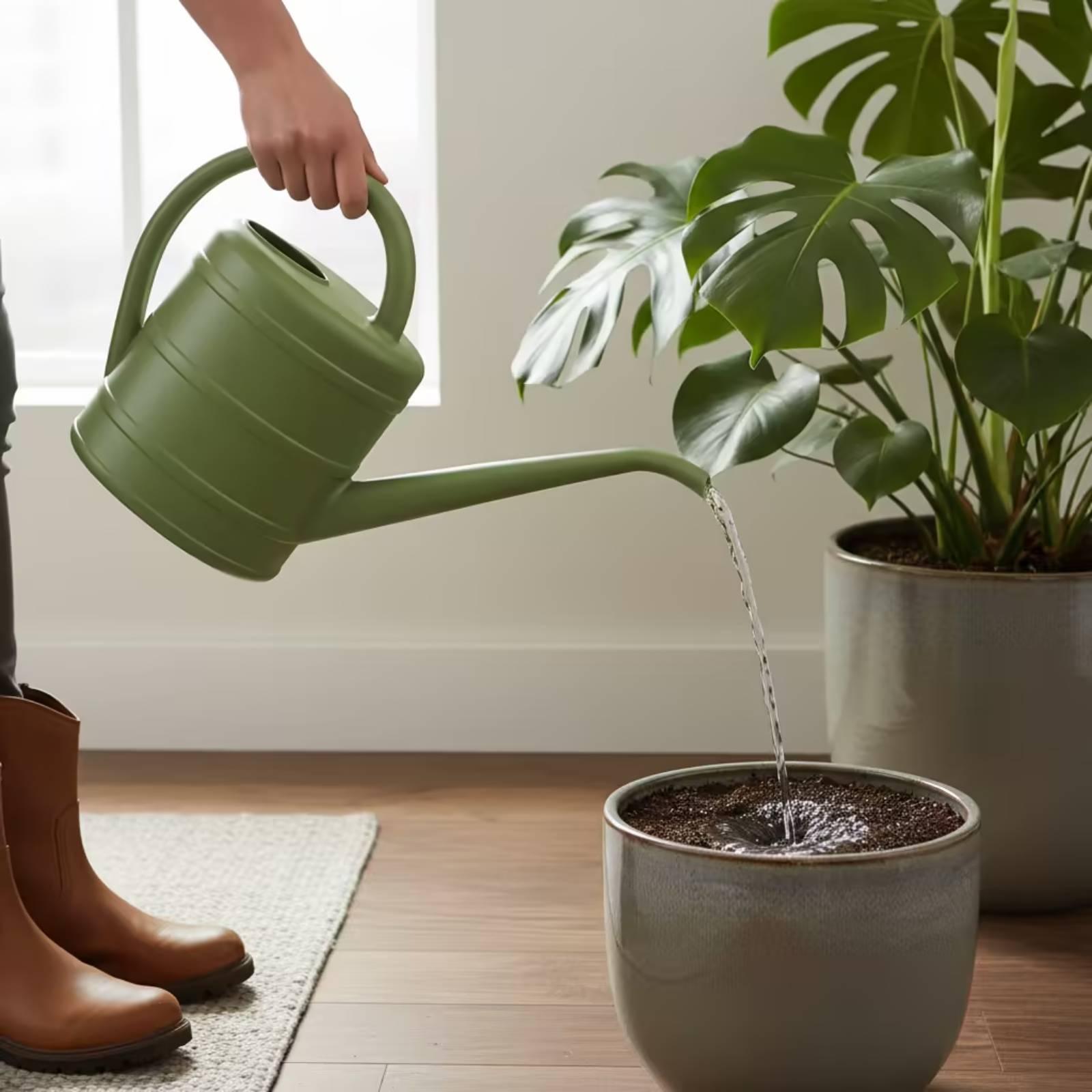 Лейка с длинным носиком, легко – обзор и цена Watering Can