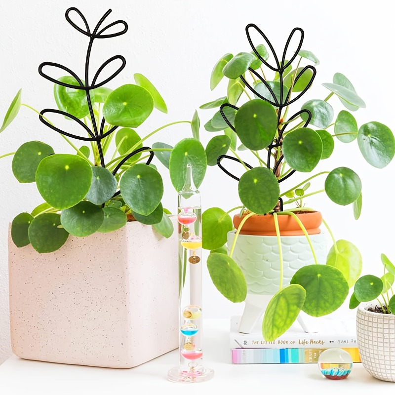 3 шт., рамка для поддержки рас – обзор и цена Indoor Herb Garden
