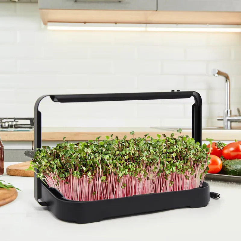 Гидропонный лоток для выращива – обзор и цена Hydroponic Kit