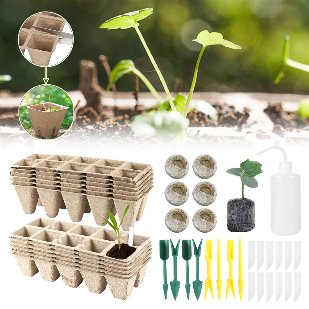 Органический биоразлагаемый ко – обзор и цена Seed Starter Tray