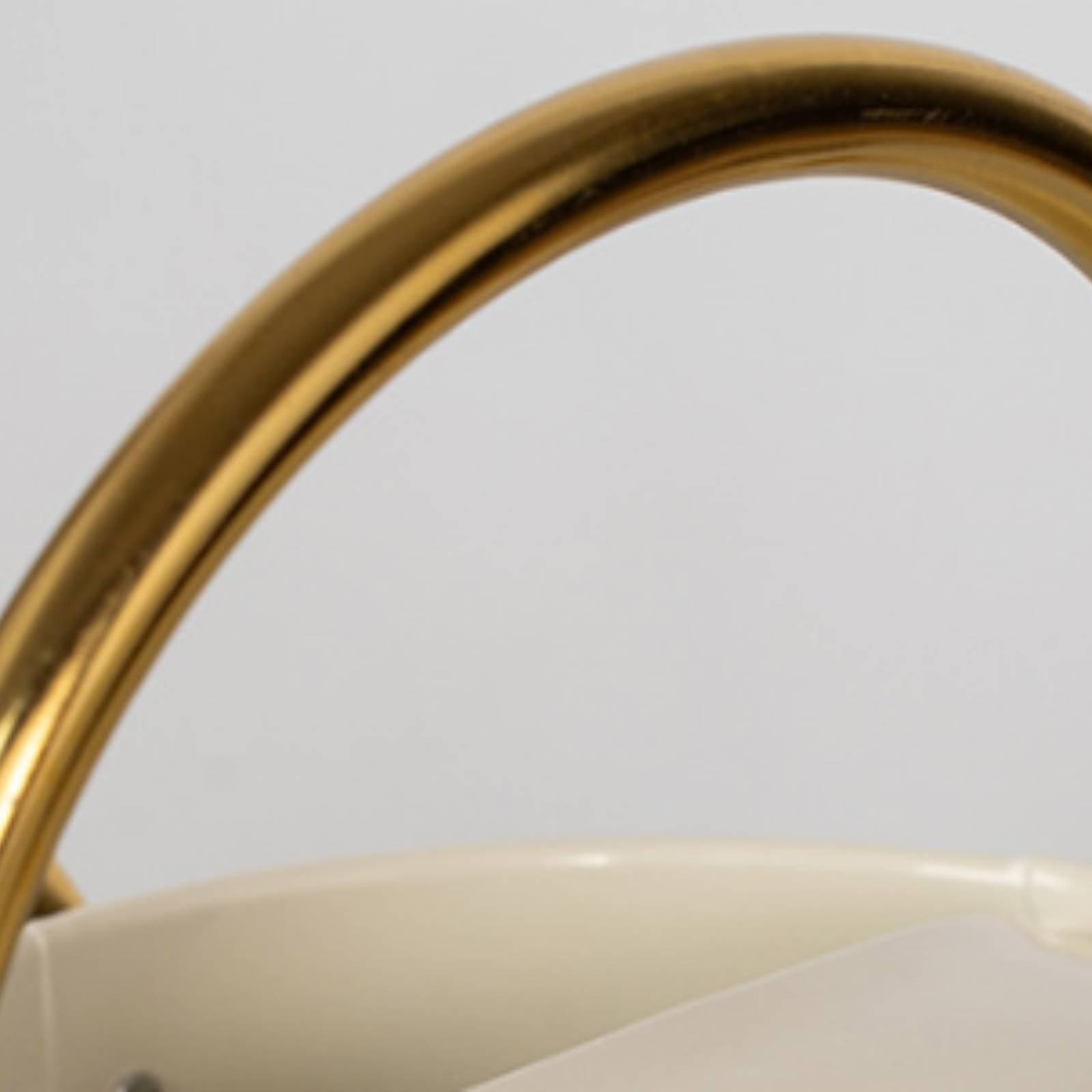 Лейка с длинным носиком, герме – обзор и цена Watering Can