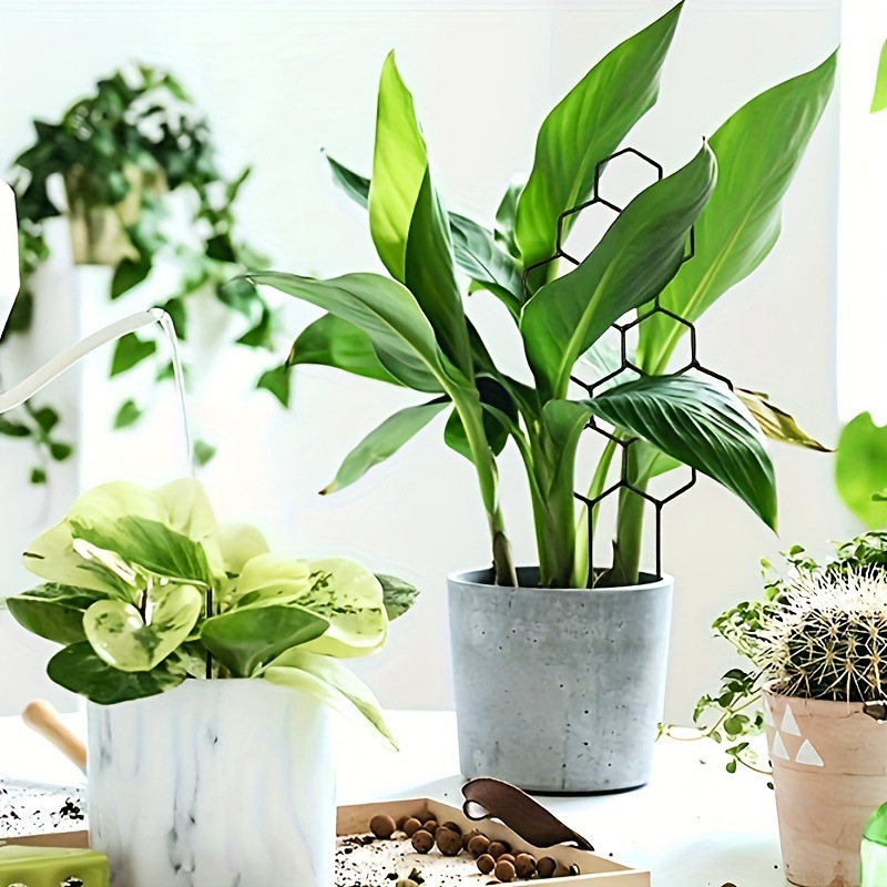 1 шт. Сетчатая опора для расте – обзор и цена Indoor Herb Garden