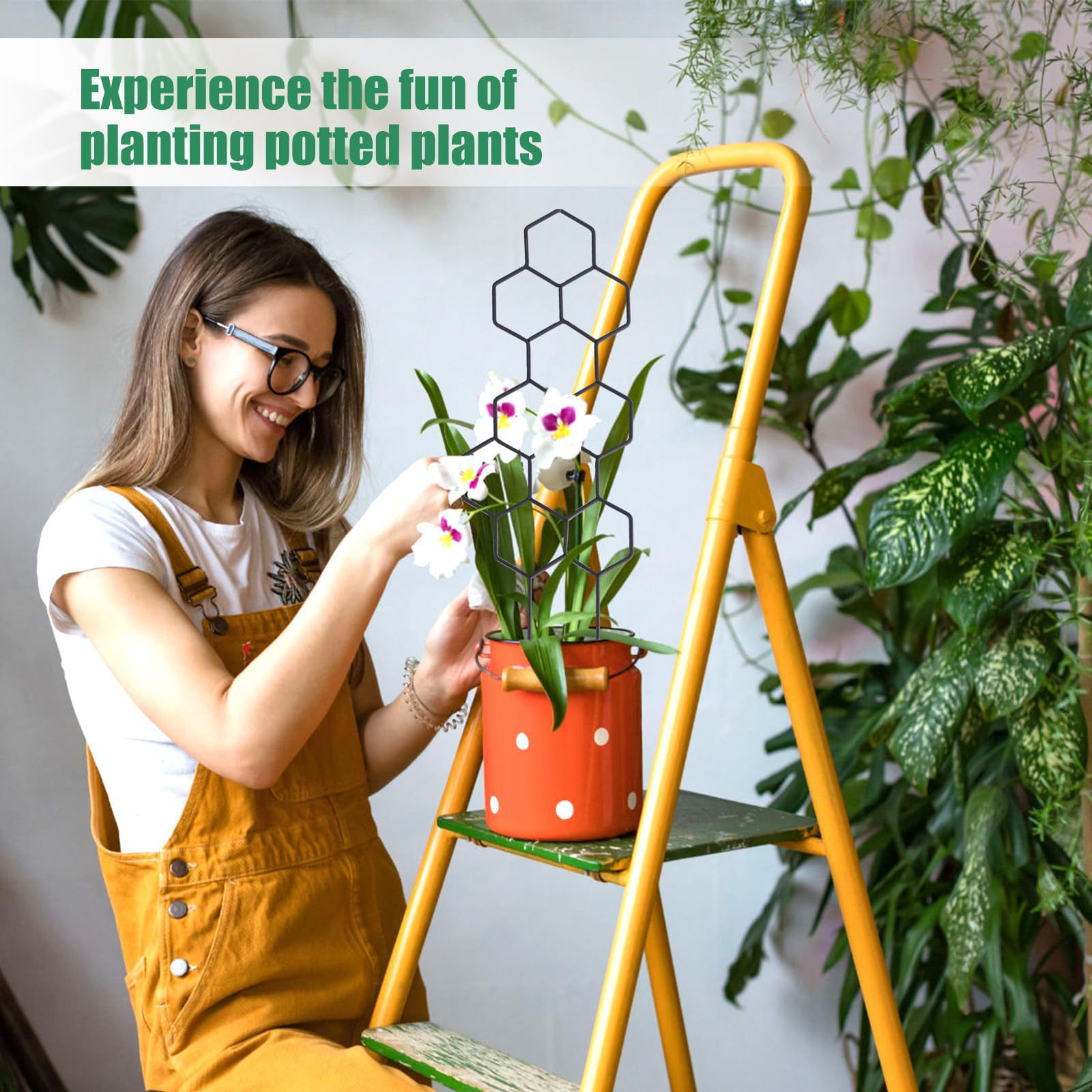 1 шт. Сетчатая опора для расте – обзор и цена Indoor Herb Garden