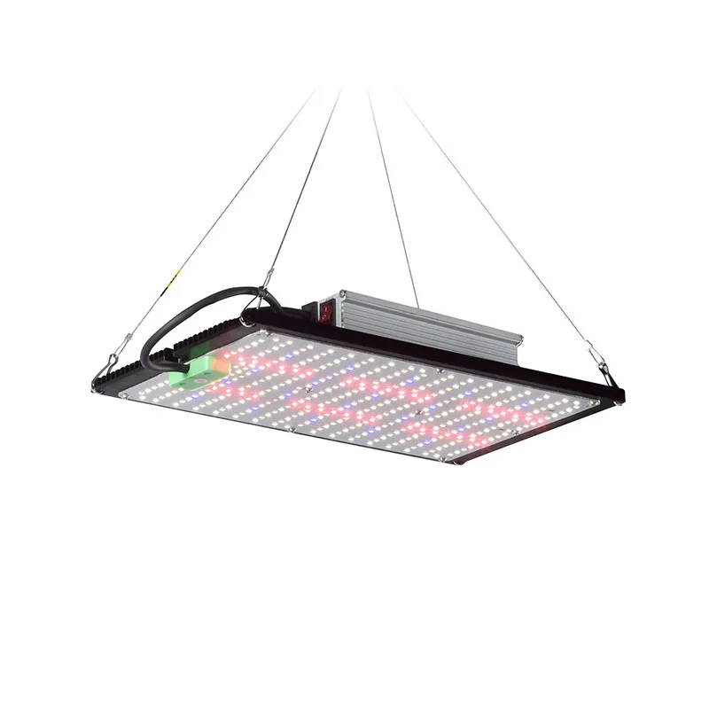 Светодиодный квантовый светиль – обзор и цена Grow Light Led