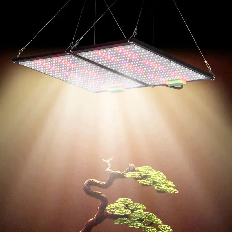 Светодиодный квантовый светиль – обзор и цена Grow Light Led